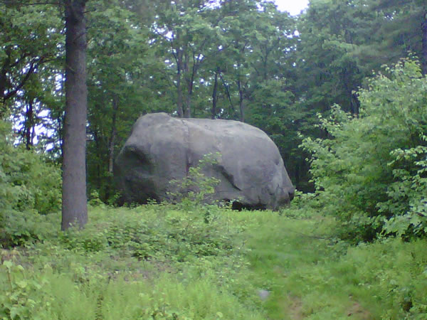 Elephant Rock