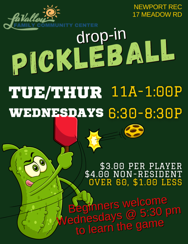 Drop-In Pickleball