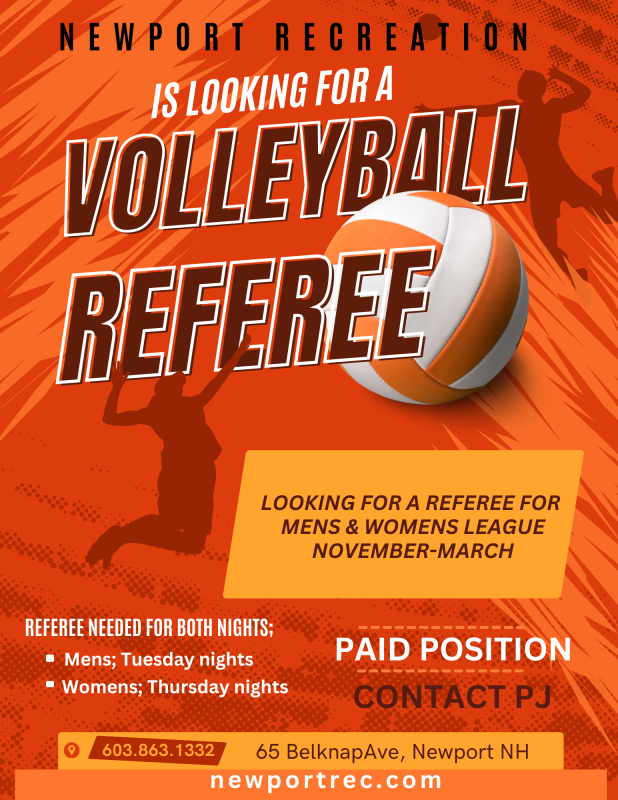 Looking for a Volleyball Referee